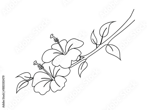 Hibiscus Branch Outline with Two Flowers and Leaves