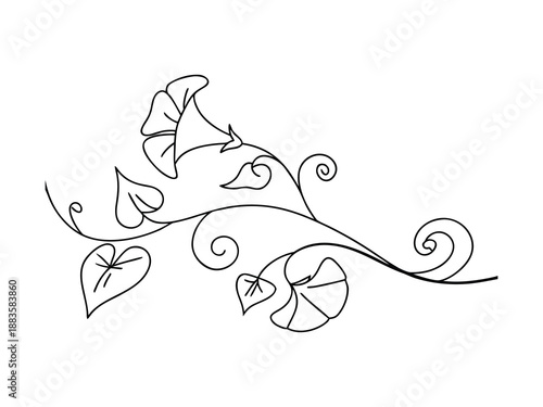 Morning Glory Vine With Flowers Line Art abstract black and white