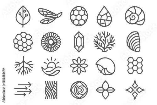 Biomimicry Design Icons. Line style icons of Biomimicry Design: leaf circuit, dragonfly wing, bee eye lens, shell spiral, water