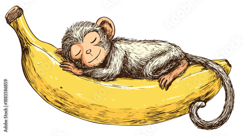 Adorable Sleeping Monkey on Banana Vector Illustration