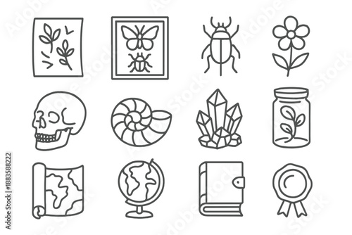 Natural History Icons. Line style icons of natural history study: herbarium sheet, insect case, pinned beetle, pressed flower;