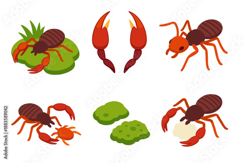 Pseudoscorpion Isometric Icons. Isometric vector illustration set Pseudoscorpions: forest floor pseudoscorpions, venom claws,