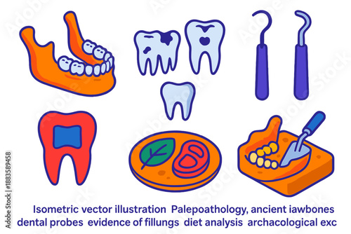 Ancient Dental Archaeology. Isometric vector illustration set Paleopathology of dental health: ancient jawbones, tooth decay
