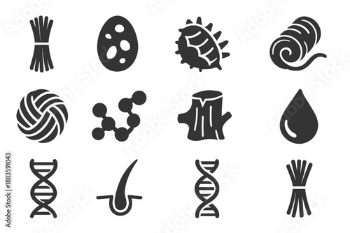 Natural Polymers Icons. Solid style icons of natural polymers: cellulose fiber, starch granule, chitin shell, silk thread, wool