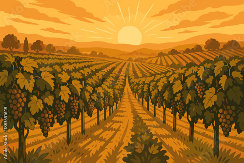 Sunset Vineyard. Scenic vineyard at sunset with lush grapevines stretching to the horizon, warm golden vector illustration light,