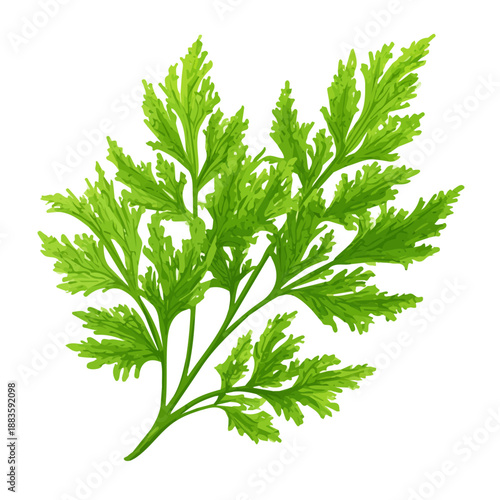 Minimal 2D flat vector of a Wormwood, icon-style illustration on a white background