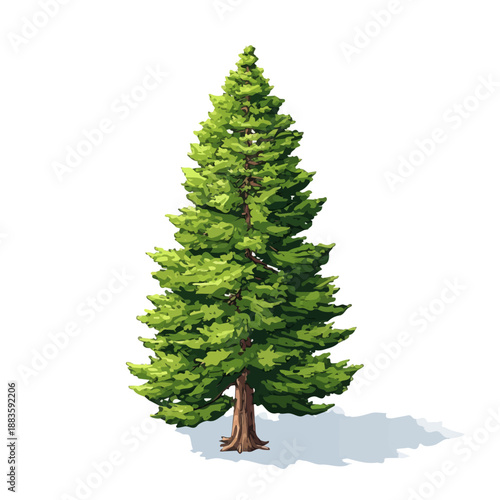 Flat-design 2D vector artwork of a Cypress Pine Tree, styled as an icon and isolated against white background