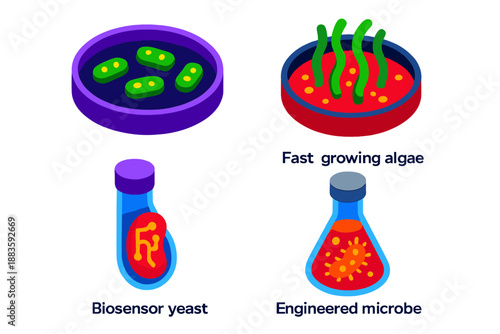 Genetic Organism Icons. Isometric vector illustration set Genetically Engineered Organisms: Fluorescent bacteria colony,