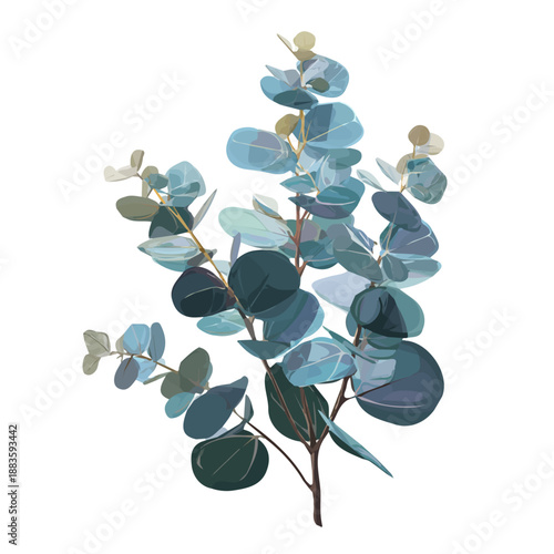 Simple flat 2D vector graphic of a Eucalyptus in modern icon style, isolated on a white canvas