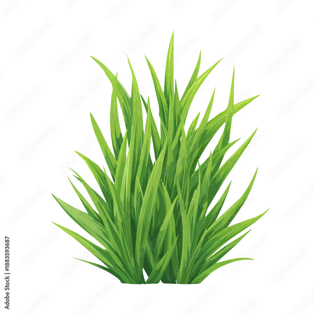 Fototapeta premium Flat 2D Wheatgrass vector illustration, icon graphic on white background