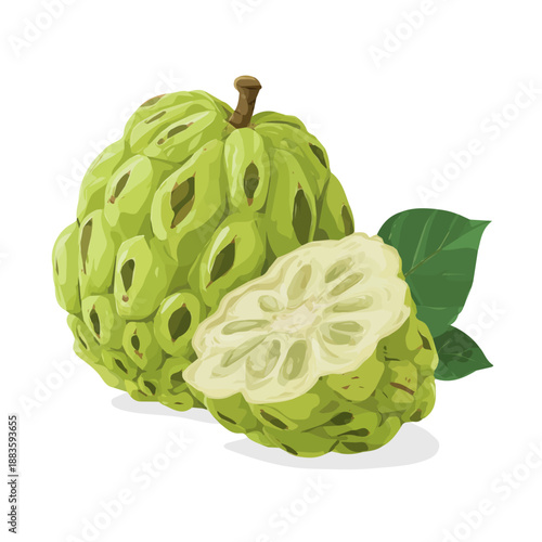 Custard Apple, presented as a modern flat 2D vector icon graphic on a white background