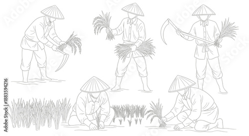a black and white illustration depicts vietnamese farmers harvesting rice in a rural field