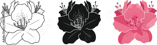 Collection of rhododendron flower icons in outline silhouette and color vector styles for botanical design isolated on white