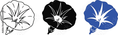 Collection of morning glory flower icons in outline silhouette and solid blue styles representing nature and summer for design