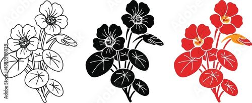 Collection of Nasturtium flower illustrations in outline silhouette and color vector styles for botanical design and decoration