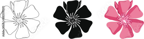 Collection of stylized flower icons in outline silhouette and color perfect for spring design elements and floral motifs