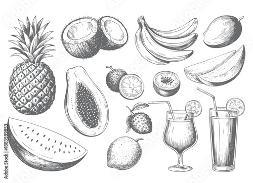 Hand drawn vintage fruit engraving collection. Vintage fruit sketch set in retro style.