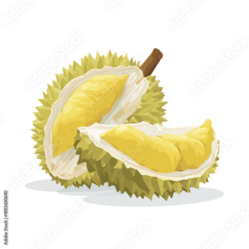 Simple flat 2D vector graphic of a Durian in modern icon style, isolated on a white canvas