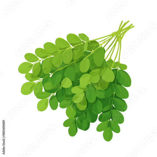 Minimalist 2D vector icon representation of a Moringa, displayed on a pure white background