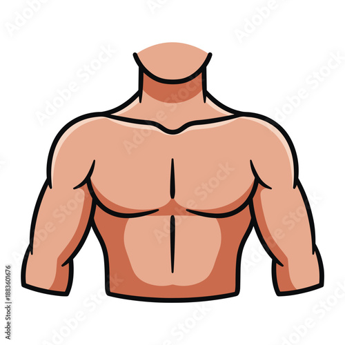A cartoon vector illustration of a muscular male torso showcasing well-defined chest and abdominal muscles.