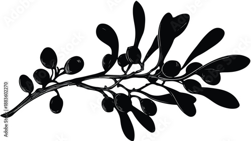 Elegant Christmas Mistletoe Black Silhouette Vector Art and Illustration