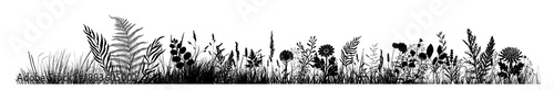 Silhouette of grass horizon. Border, meadow springtime, Hand drawn. Not AI, vector illustration