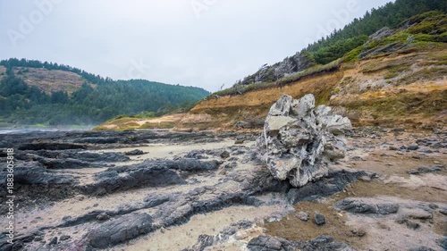 Wallpaper Mural Scenic view of the dramatic and rugged coastline at Cape Perpetua, near Yachats, Oregon. The footage captures the unique volcanic basalt rock formations, tide pools, and the dense, old-growth temperat Torontodigital.ca