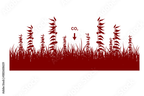 Blue Carbon Sequestration Kelp Seaweed Vector Icon for Ocean Conservation and Climate Change Solutions