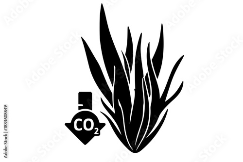 Blue Carbon Sequestration Kelp Seaweed Vector Icon for Ocean Conservation and Climate Change Solutions