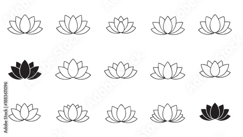 Set of fifteen hand drawn water lily flowers in various styles and shapes