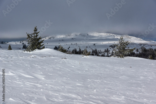 Wallpaper Mural Landscape of Vitosha Mountain, Bulgaria Torontodigital.ca