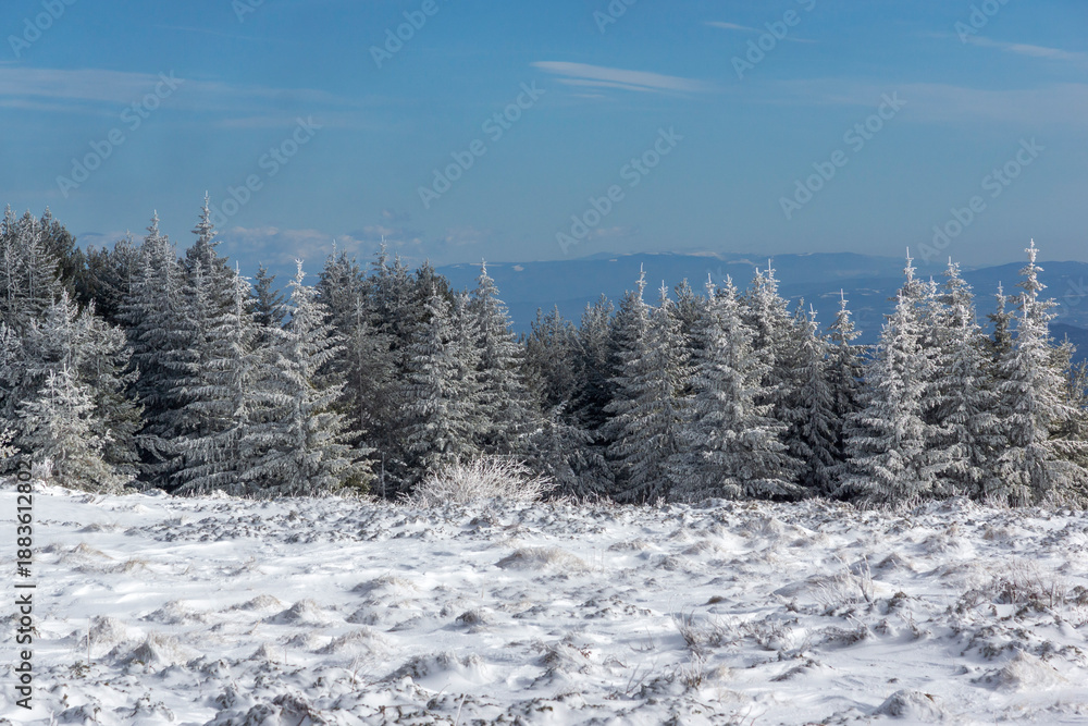Obraz premium Landscape of Vitosha Mountain, Bulgaria
