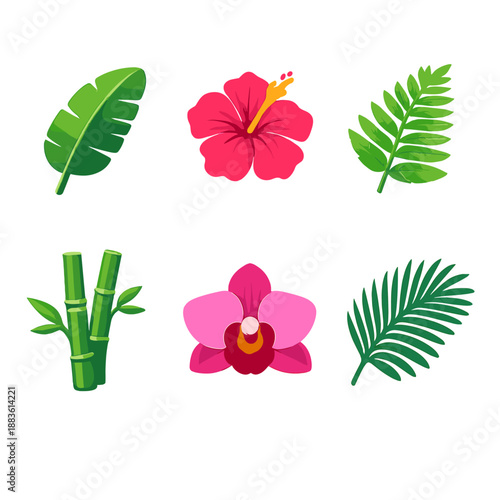 Vibrant Tropical Icons. Tropical plants vector set in modern flat style : banana leaf, hibiscus flower, fern, bamboo stalk, orchid blossom, palm frond