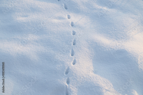 足跡のついた雪原