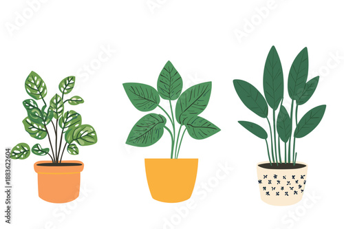 Colorful Indoor Potted Plant Illustrations