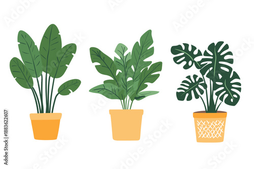 Colorful Indoor Potted Plant Illustrations