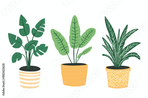 Colorful Indoor Potted Plant Illustrations