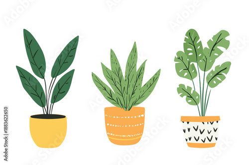 Colorful Indoor Potted Plant Illustrations