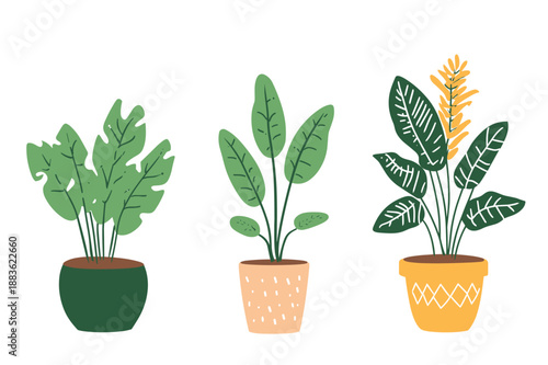 Colorful Indoor Potted Plant Illustrations