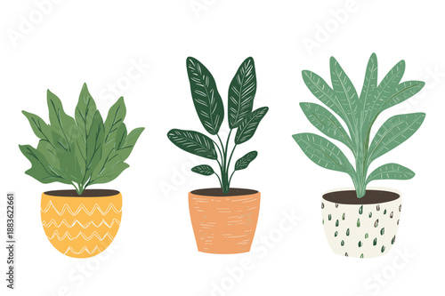 Colorful Indoor Potted Plant Illustrations