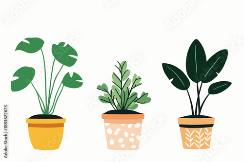 Colorful Indoor Potted Plant Illustrations