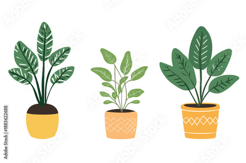 Colorful Indoor Potted Plant Illustrations