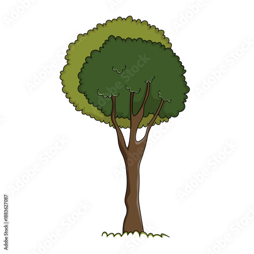 Doodle trees. Isolated color icons on white background. Spring tree for your design. Vector symbol sign. Plants, landscape design. Eco idea concept.