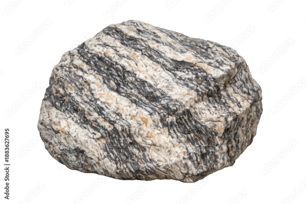 Obraz premium Gneiss metamorphic rock on transparent background showing striped and foliated texture, geology and mineralogy concept