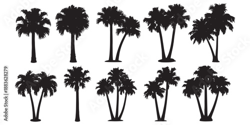 Mega collection of black tropical palm tree silhouettes, set of coconut trees in various clusters and single stems isolated on white background for beach, summer, and vacation design.