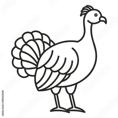 Simple line art illustration of a turkey standing with fanned tail feathers Vector