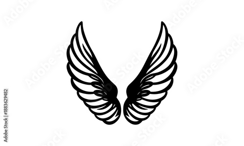 Vector silhouette of a angel wings.