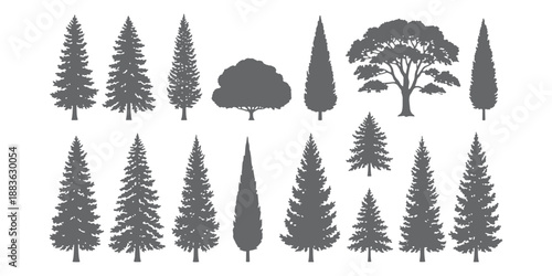 Mega collection of pine and conifer tree silhouettes, set of black evergreen forest trees including fir, spruce, and cedar isolated on white background for landscape and architectural design.