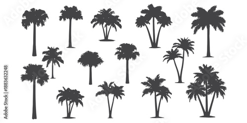 Mega collection of 15 black tropical palm tree silhouettes, set of coconut trees in various clusters and single stems isolated on white background for beach, summer, and exotic vacation design.