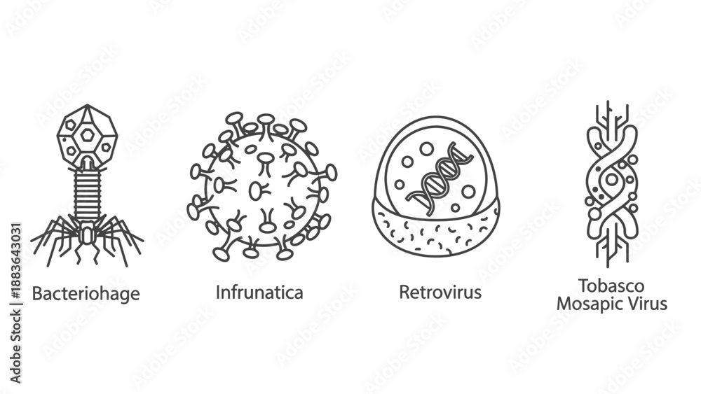 Fototapeta premium Bacteriophage Infulmatica Retrovirus Tobacco Mosaic Virus Illustrations.